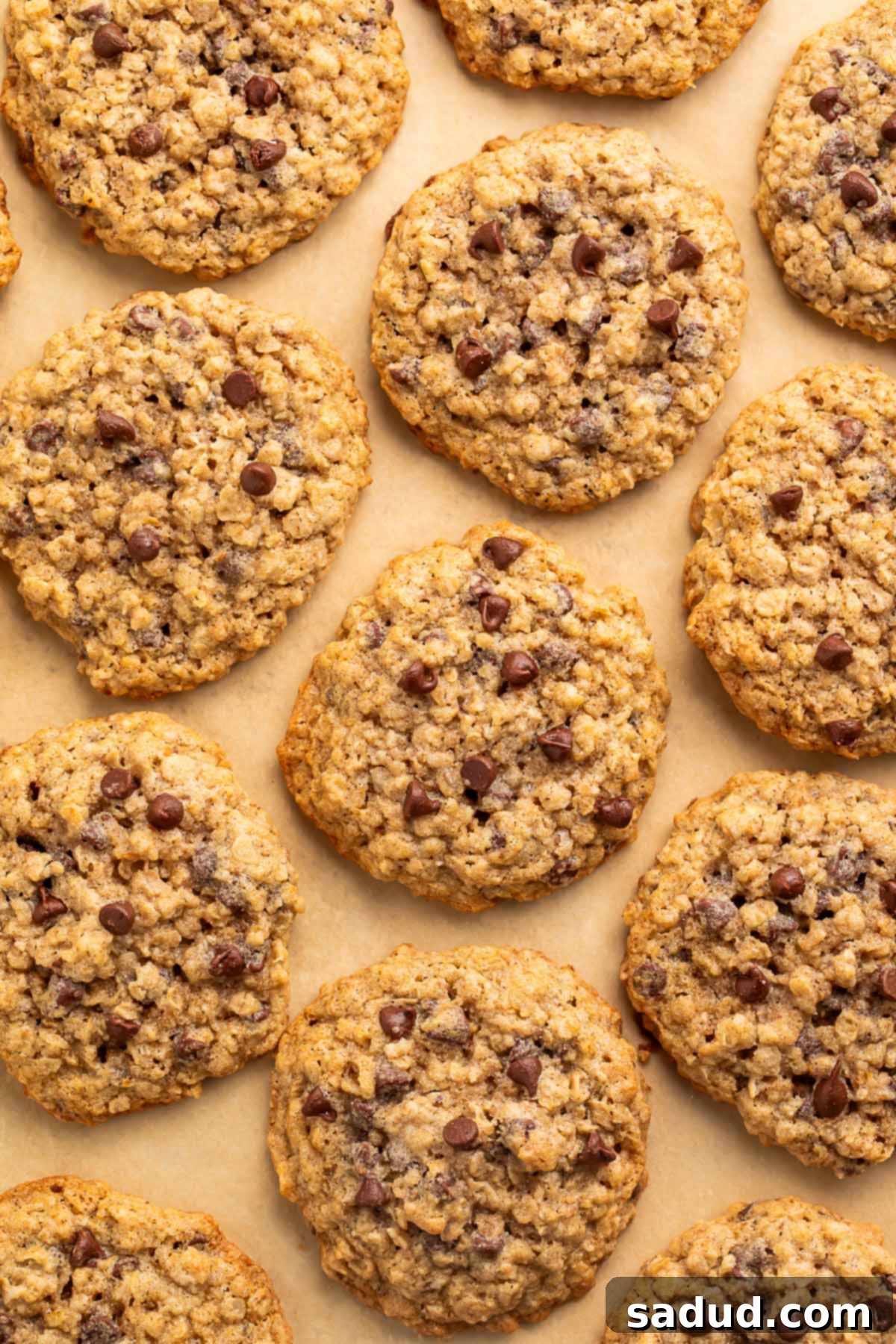 Gluten free oatmeal chocolate chip cookies arranged on a sheet of parchment paper, showcasing their golden brown edges and chocolatey centers.