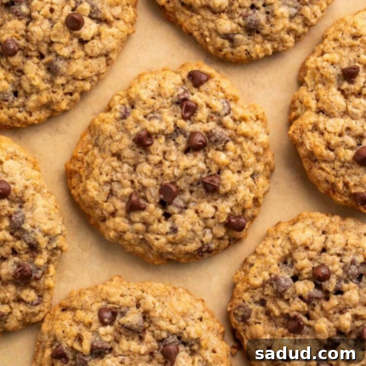 Perfectly baked gluten free oatmeal chocolate chip cookies arranged on a sheet of parchment paper, with a golden hue.