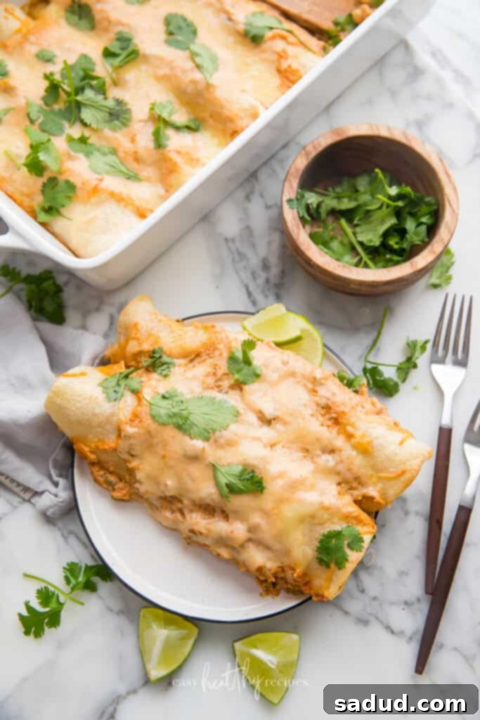 Two creamy chicken enchiladas on a plate with fresh cilantro garnish