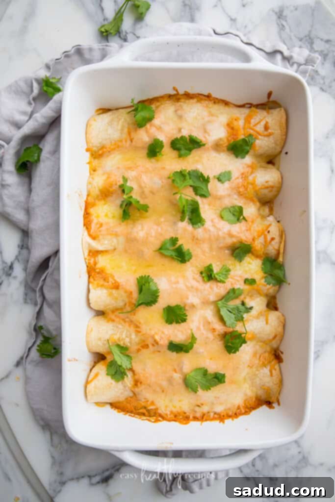 Top shot of creamy chicken enchiladas in a white oven dish