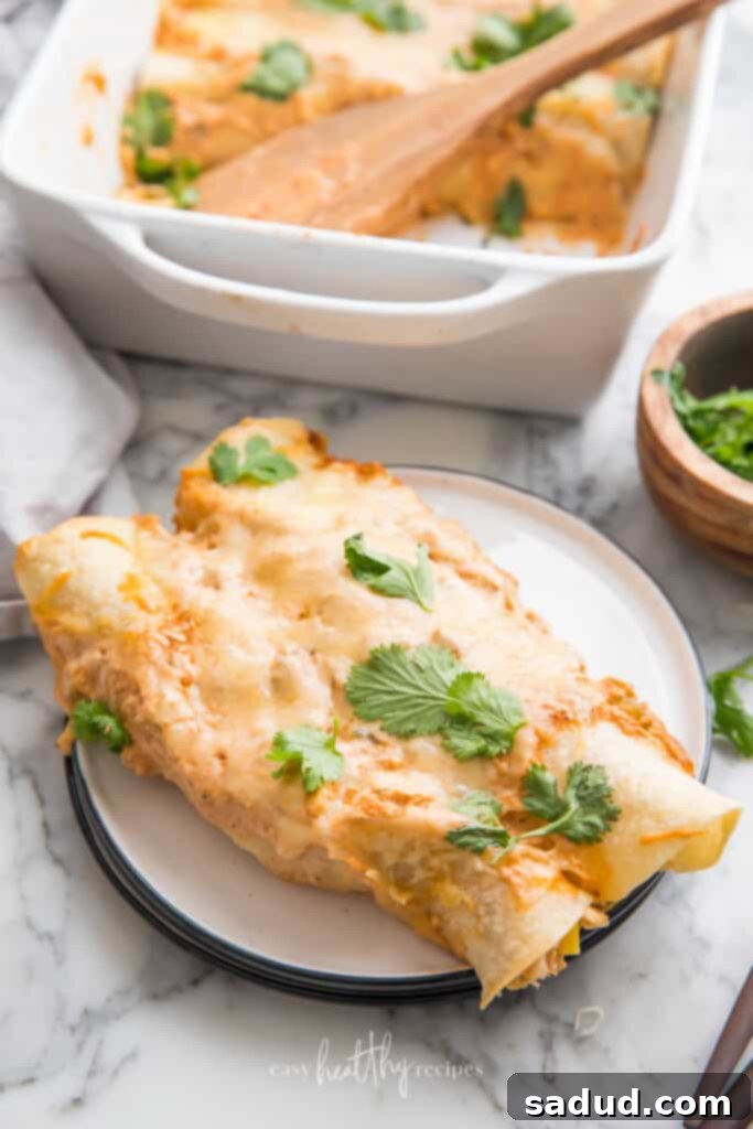 Close up of chicken enchiladas served on a white plate with cilantro