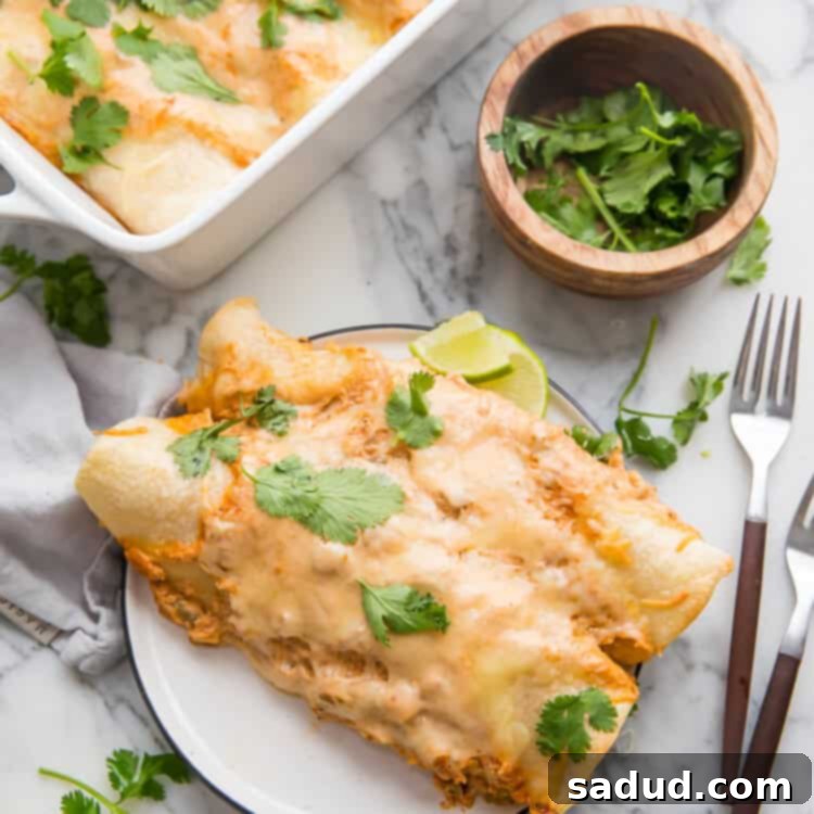 Two creamy chicken enchiladas on a plate with cilantro on top