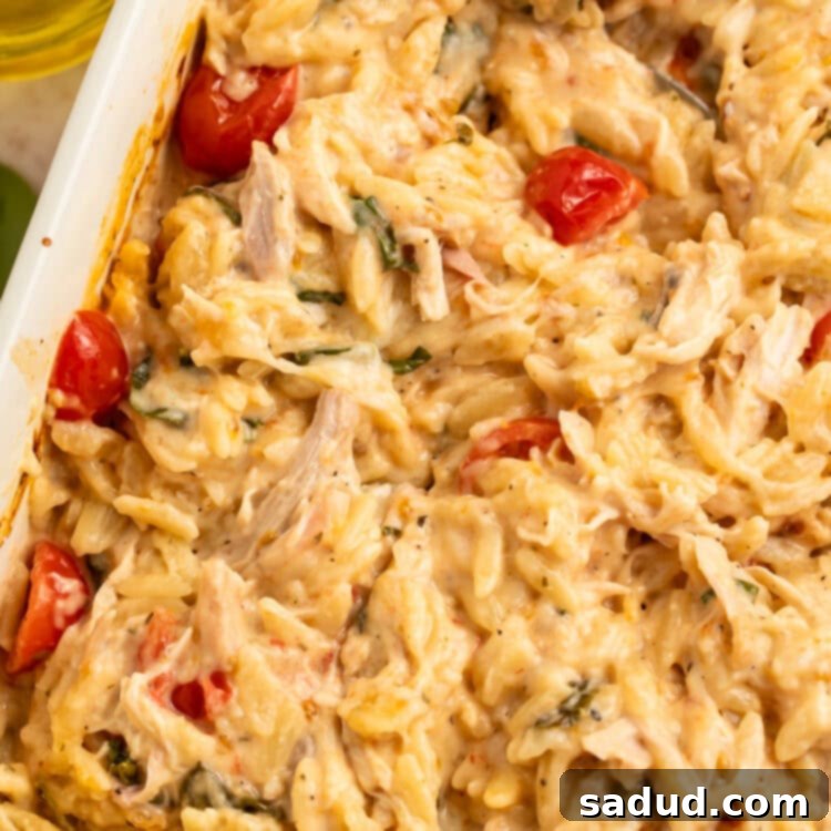 Golden Baked Chicken Orzo 4 Close up of a stirred chicken and orzo bake in a white baking dish, ready to serve.
