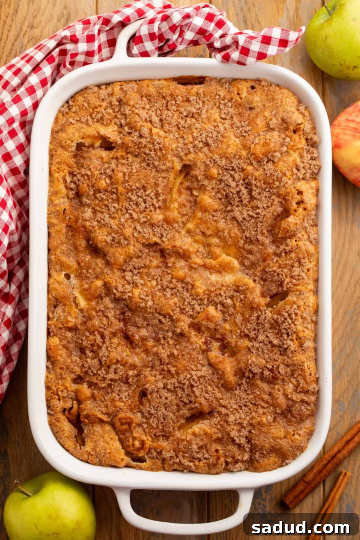 A whole gluten-free apple cake, fresh from the oven, sits invitingly in a baking pan on a rustic wooden table. It's garnished with a charming red gingham kitchen towel, vibrant fresh apples, and aromatic cinnamon sticks, highlighting its wholesome, homemade appeal.