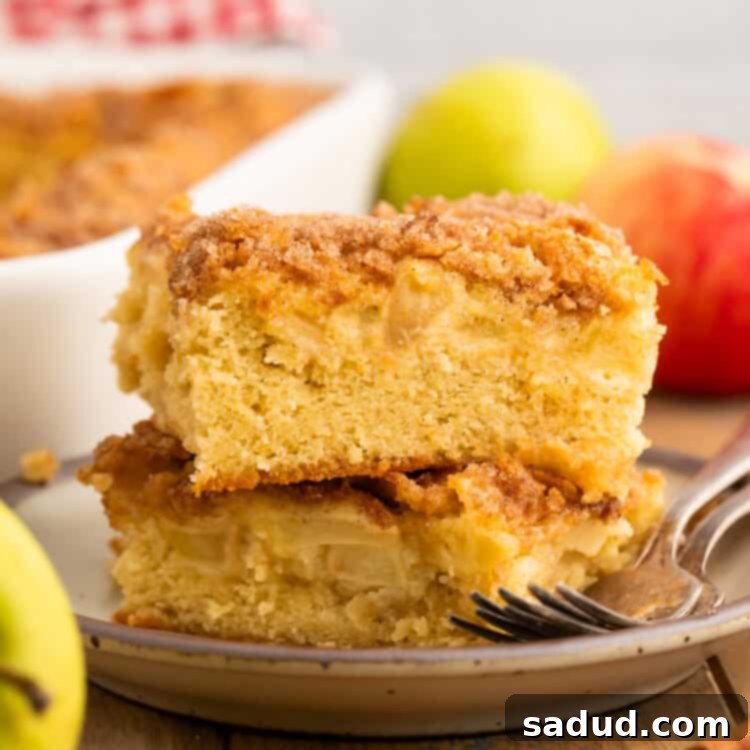 A beautiful slice of gluten-free apple cake, featuring moist cake and a crisp cinnamon-sugar topping, presented on a grey plate with the full cake in the background. Fresh apples and cinnamon sticks complete the inviting scene.