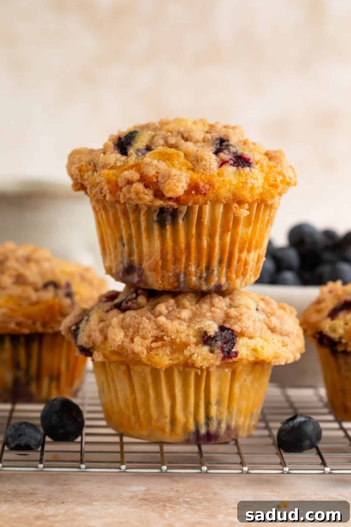 Two blueberry muffins on a wire rack stacked on top of each other, showcasing their golden tops and visible blueberries.