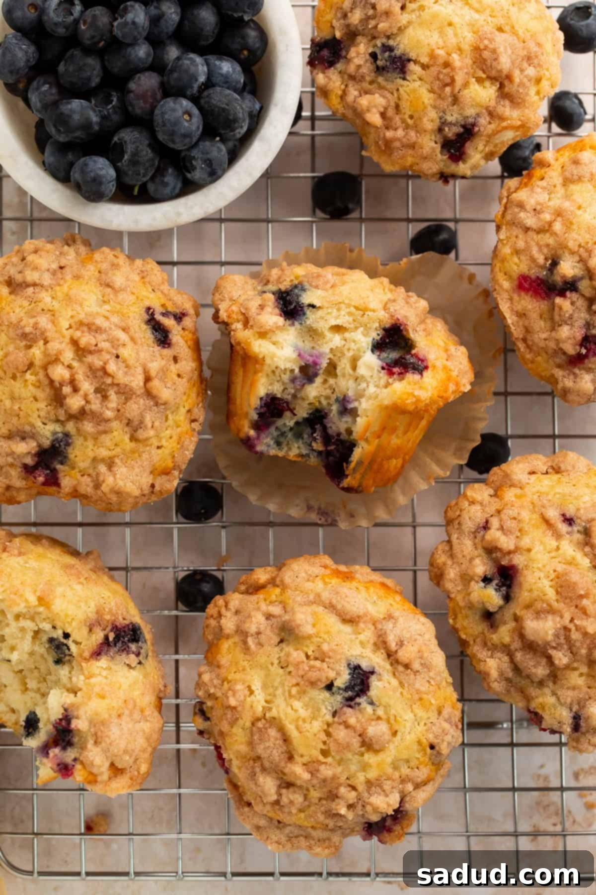 Close up of cooling muffins with blueberries, and a bowl of fresh blueberries off to one side, highlighting the texture and freshness.