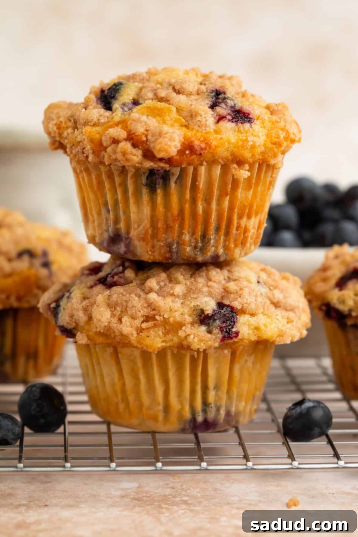 A close-up shot of a single baked blueberry muffin on a wire rack, showing off its golden crust and crumb topping.