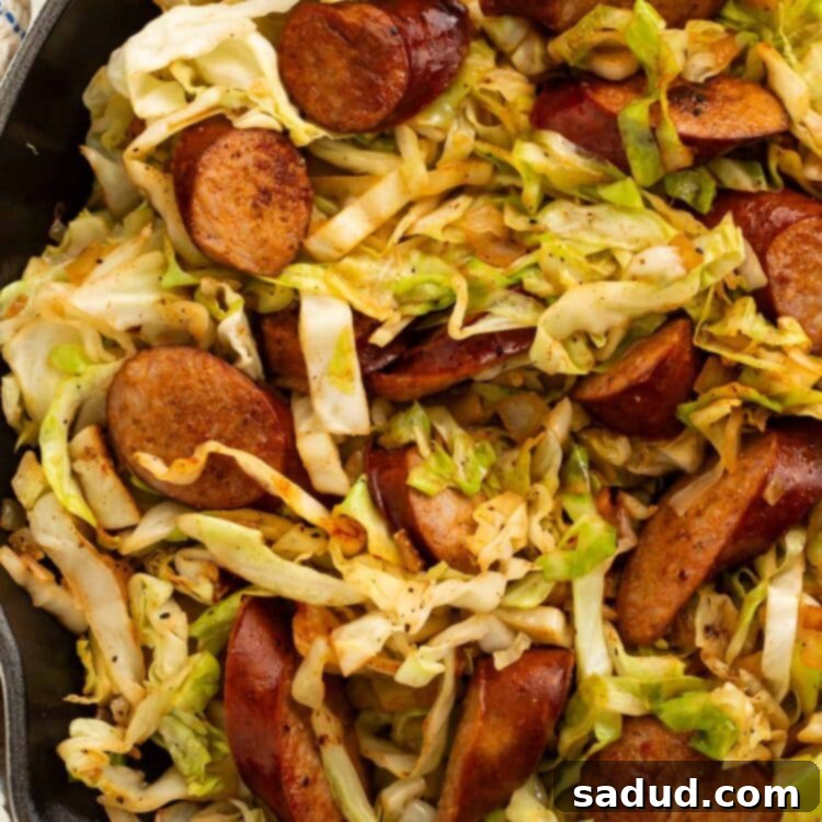 Kielbasa and cabbage in a large skillet, beautifully cooked and ready to serve.