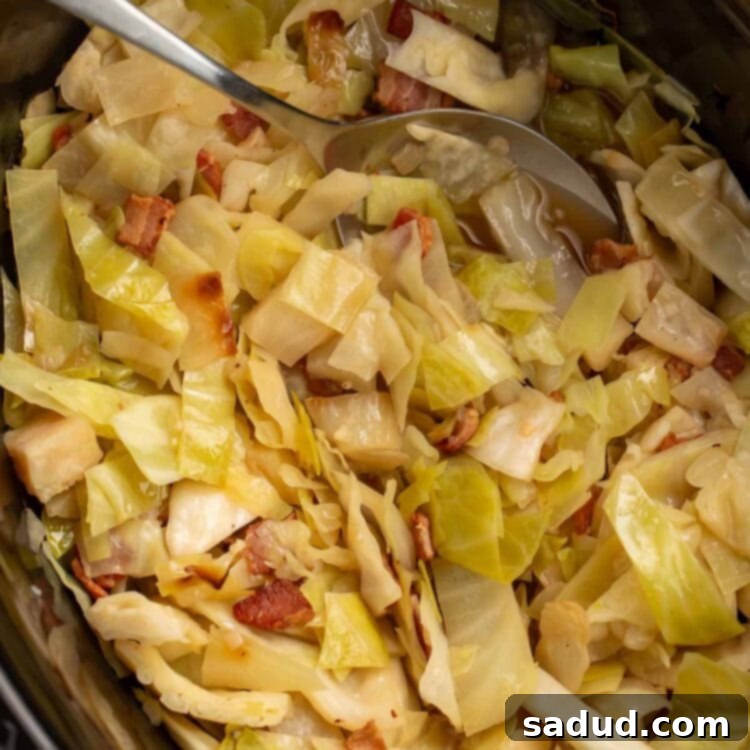 Tender Slow Cooker Cabbage 4 A hearty serving of Crockpot cabbage in a slow cooker, ready to be dished out with a large silver spoon.