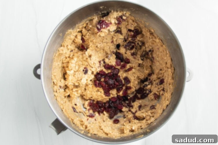 Overhead view of rehydrated cranberries added to a large silver stand mixer bowl containing oatmeal cookie dough.