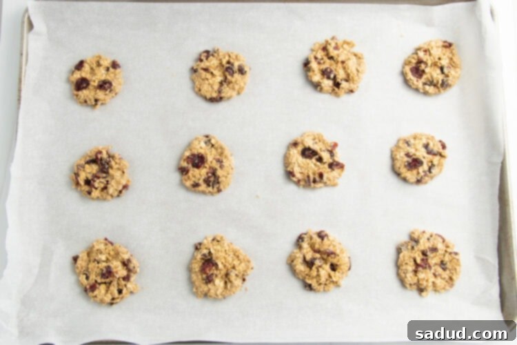 Small unbaked cranberry oatmeal cookies lined 3x4 on a parchment-paper-lined baking sheet.