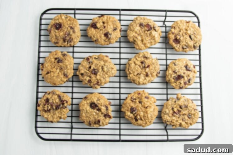 Overhead view of cranberry oatmeal cookies cooling on a wire cooling rack.