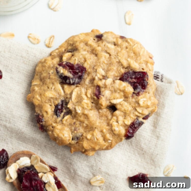 Overhead view of cranberry oatmeal cookie on a napkin next to a wooden spoon with cranberries and oats.