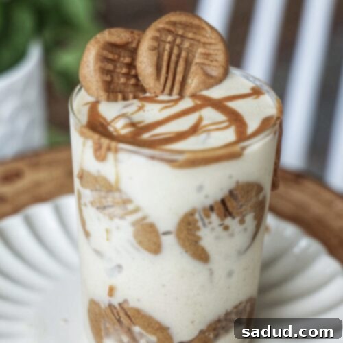 A bowl of Nutter Butter Nice Cream garnished with no-bake cookies.