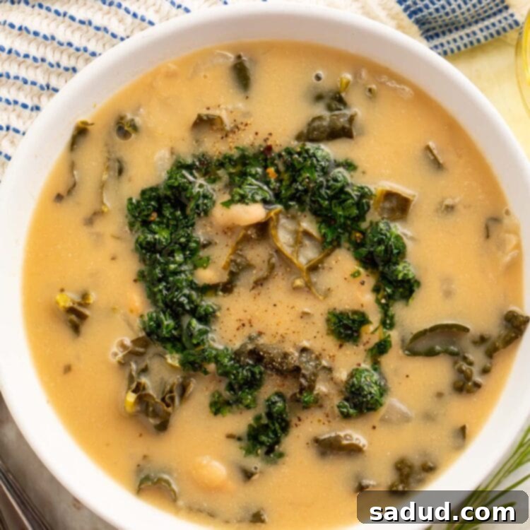Top-down view of a bowl of creamy kale and white bean soup finished with gremolata. A hearty and healthy vegan meal.