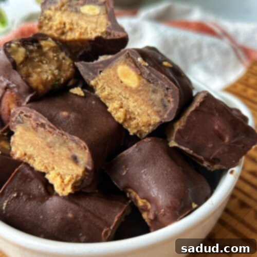 Delicious No-Bake Vegan Snickers Protein Bites ready to be served on a plate.