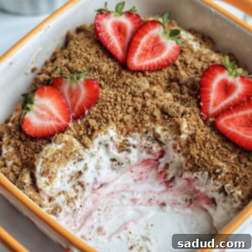 Strawberry Icebox Cake (Vegan & Paleo) ready to be served