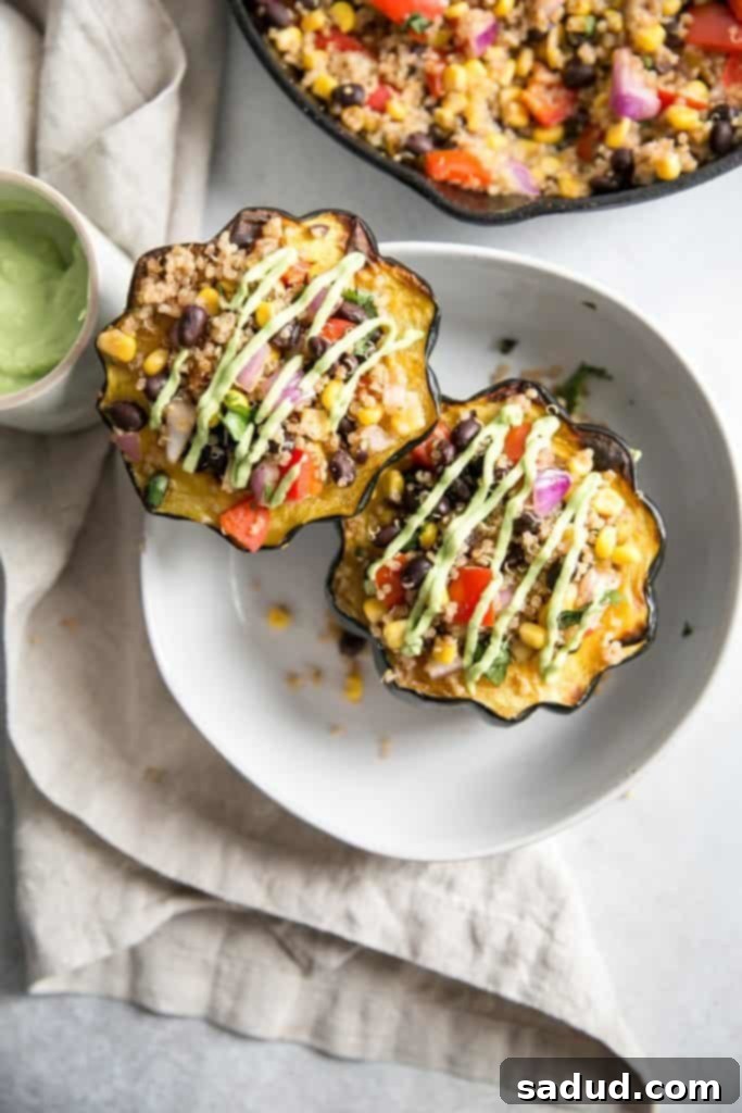 15 Vegetarian Dishes You'll Adore 7 overhead shot of mexican stuffed acorn squash recipe