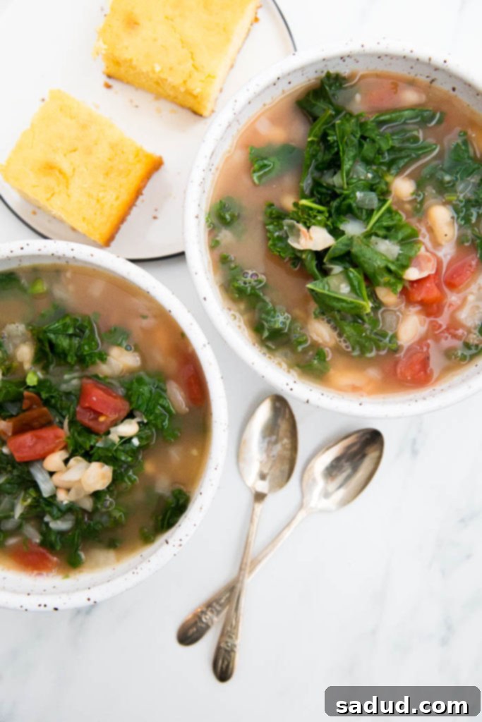 15 Vegetarian Dishes You'll Adore 12 bowl of kale and white bean soup.