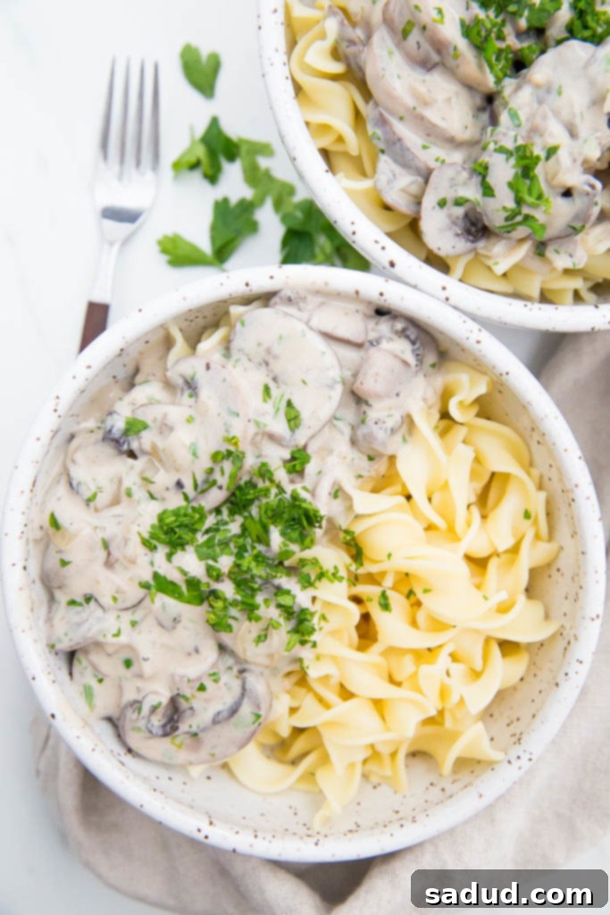 15 Vegetarian Dishes You'll Adore 8 bowl of pasta and mushroom stroganoff