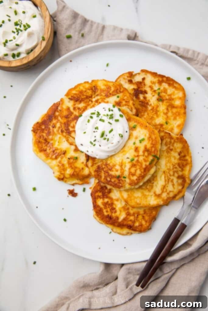 15 Vegetarian Dishes You'll Adore 15 mashed potato pancakes