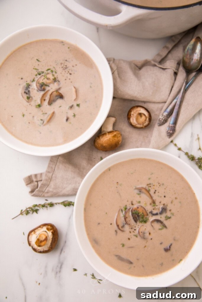 15 Vegetarian Dishes You'll Adore 11 overhead shot of cream of mushroom soup.