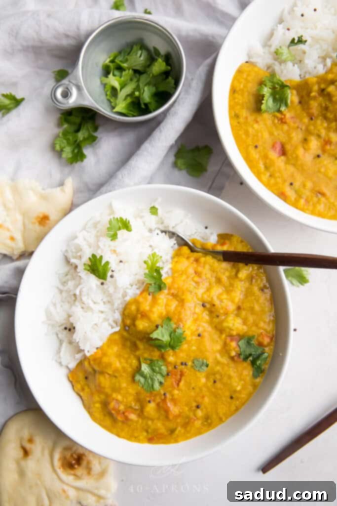 15 Vegetarian Dishes You'll Adore 5 overhead shot of instant pot dal