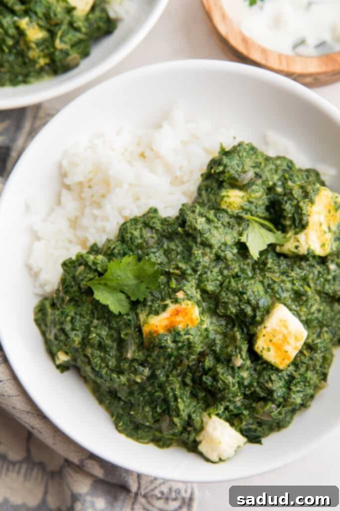 15 Vegetarian Dishes You'll Adore 6 overhead shot of palak paneer