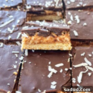 Vegan Samoa Cookie Bars - Finished Product