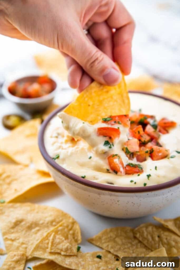 Effortless Slow Cooker Queso 2 A crisp tortilla chip diving into a bowl of luscious white queso dip, promising a taste of creamy, cheesy delight.
