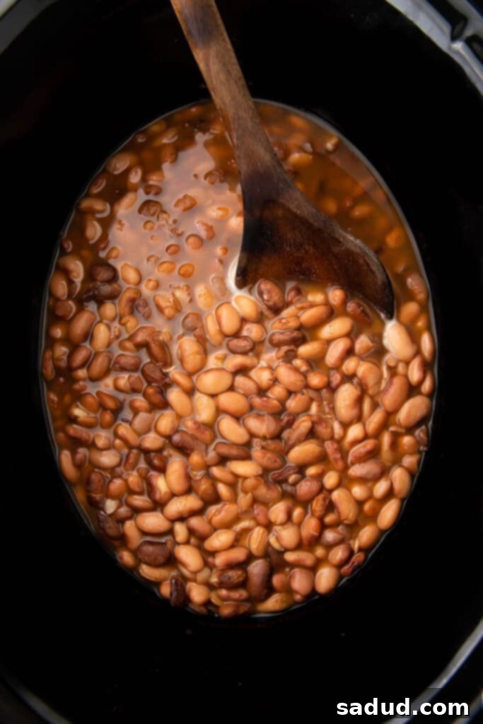 Slow cooker pinto beans in Crockpot