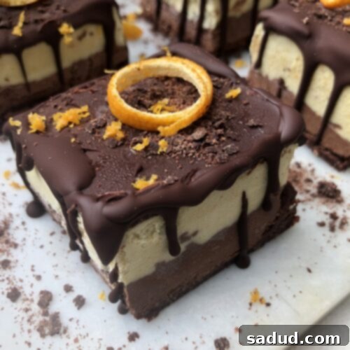 Raw Vegan Chocolate Orange Cheesecake Bars