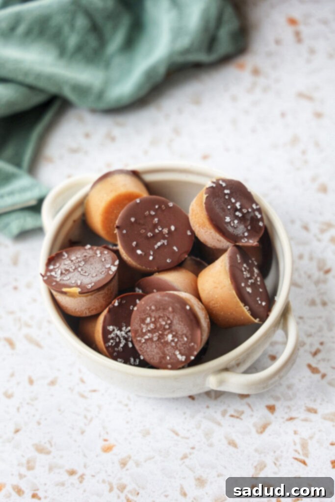 Guilt-Free Vegan Fudge 2 Healthy Vegan Fudge, featuring a close-up of delicious, dark brown fudge bites topped with melted chocolate and sea salt, arranged neatly on a serving platter.
