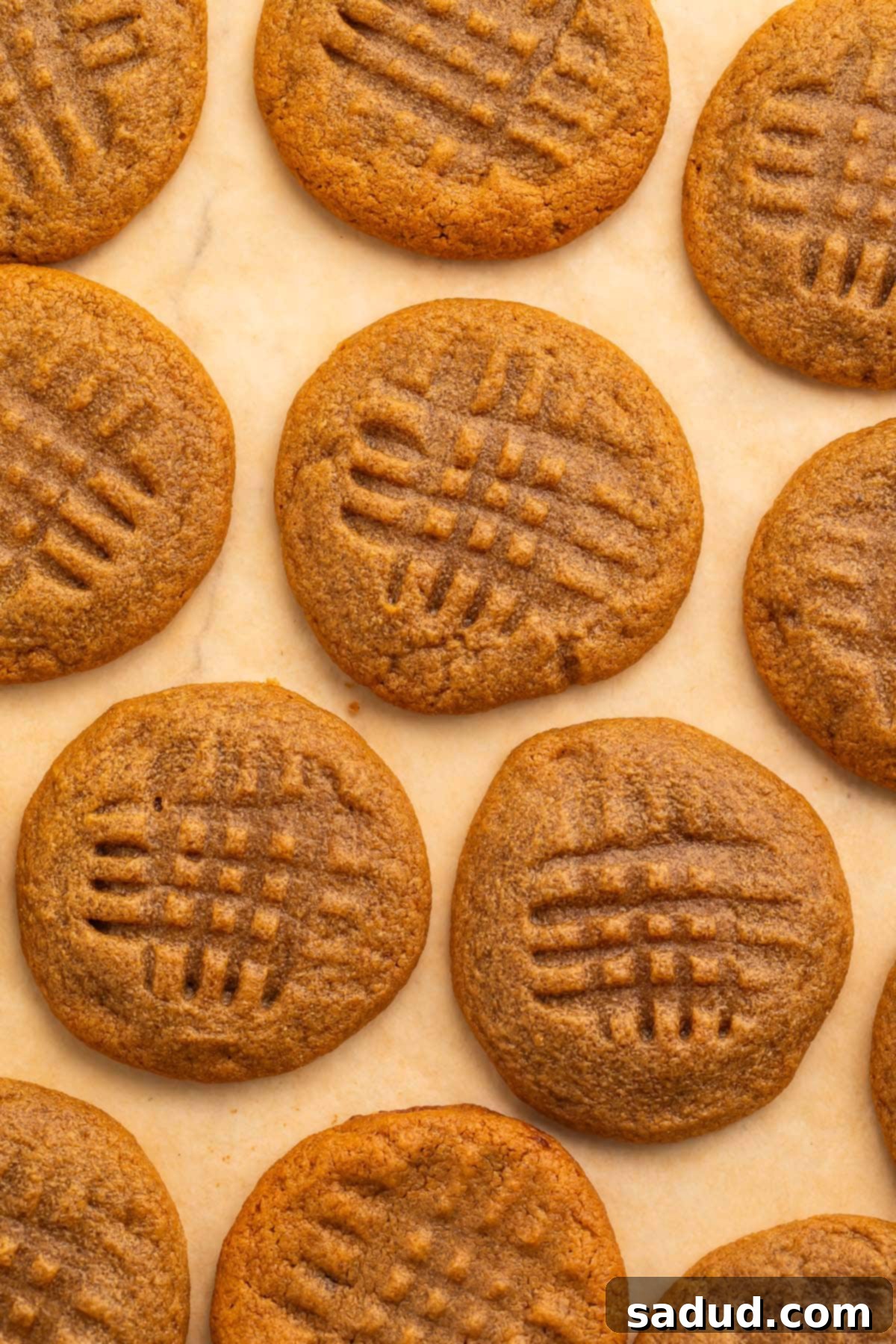 Easy 3-Ingredient Peanut Butter Cookies 3 Several 3-ingredient peanut butter cookies arranged in a single layer on a sheet of parchment paper.