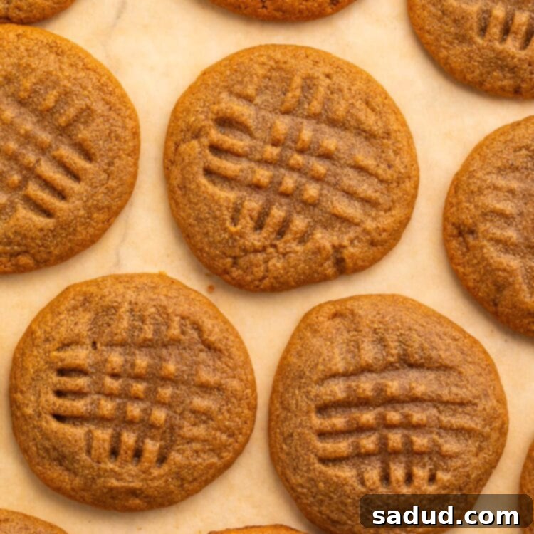 Easy 3-Ingredient Peanut Butter Cookies 5 Several 3-ingredient peanut butter cookies arranged in a single layer on a sheet of parchment paper.