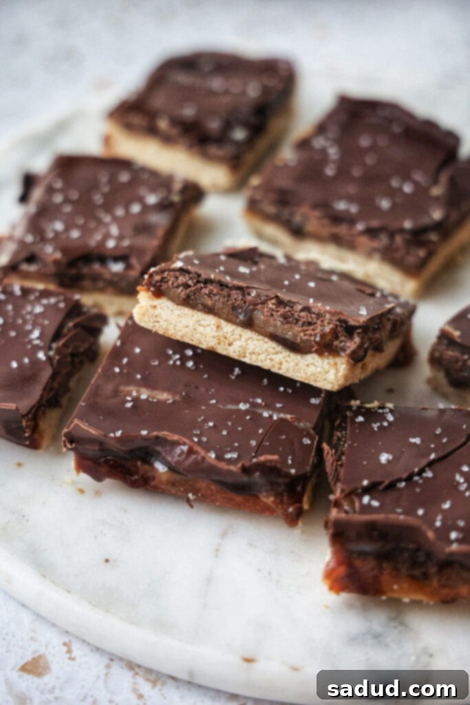 Decadent Vegan Gluten Free Millionaires Shortbread 2 Vegan millionaire's shortbread bars on a marble plate.
