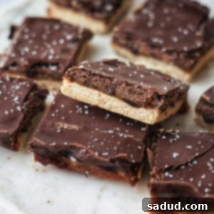 Decadent Vegan Gluten Free Millionaires Shortbread 4 Vegan Millionaire's Shortbread with its three delicious layers.