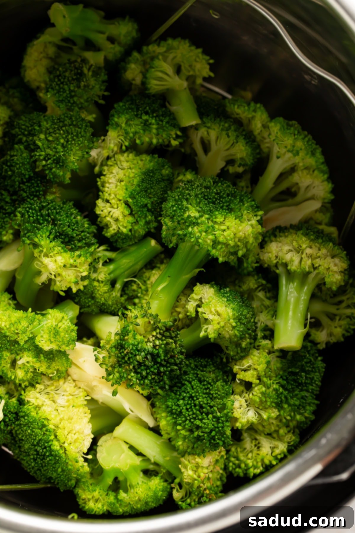Close up of steamed broccoli in the Instant Pot.