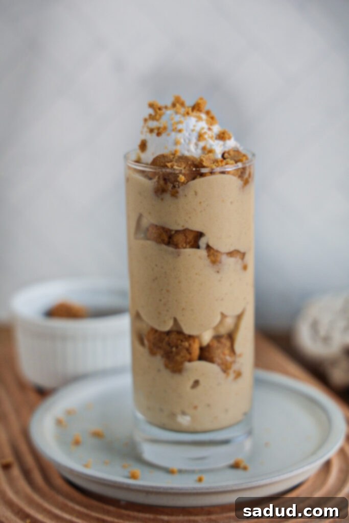 Peanut butter cookie dough blizzard