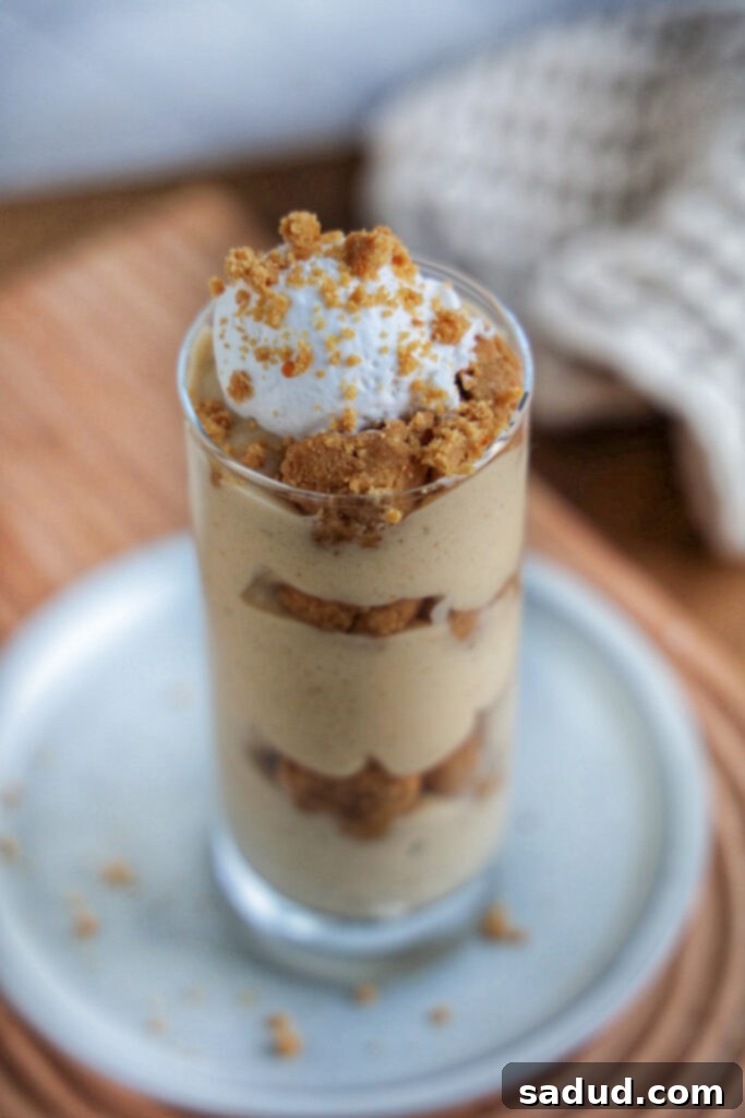 A peanut butter cookie dough blizzard topped with whipped coconut cream.