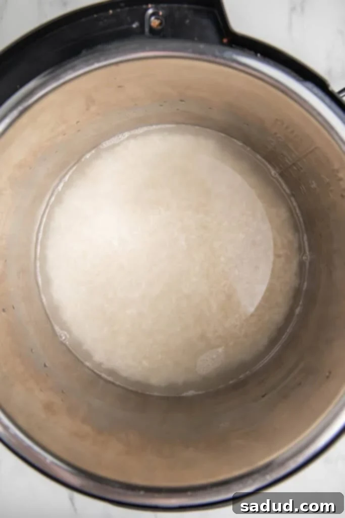 Uncooked basmati rice in Instant Pot with water
