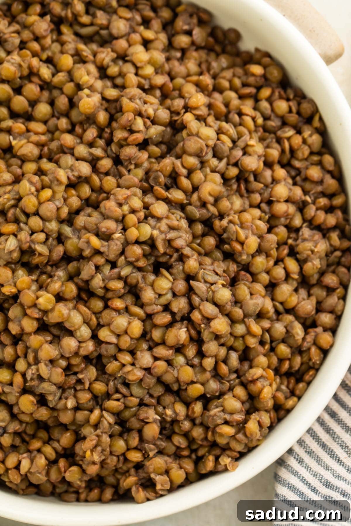 A large bowl of french green lentils on a table with a striped dish towel.