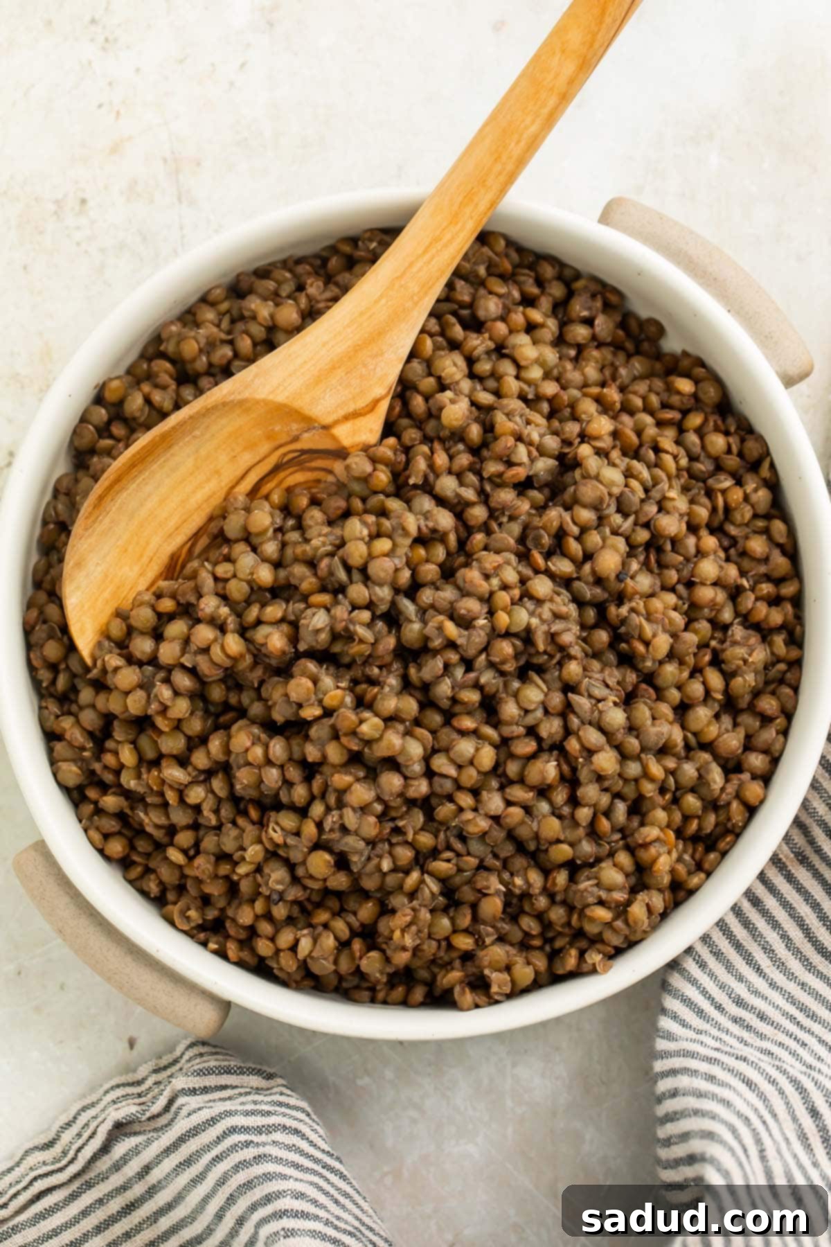 A bowl of French green lentils on a tabletop with a striped dish towel and a large wooden spoon.