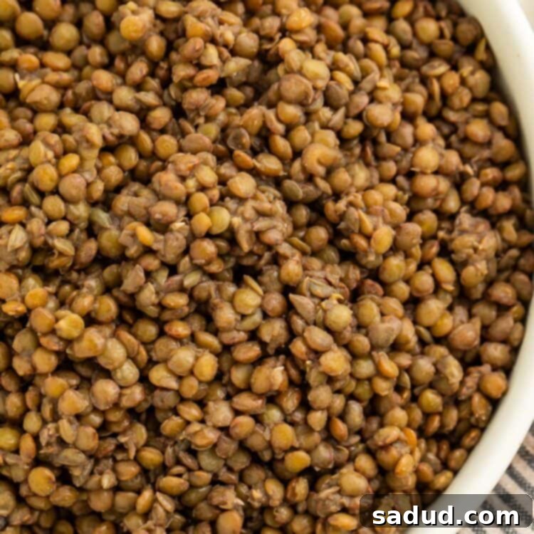 A large bowl of french green lentils on a table with a striped dish towel.
