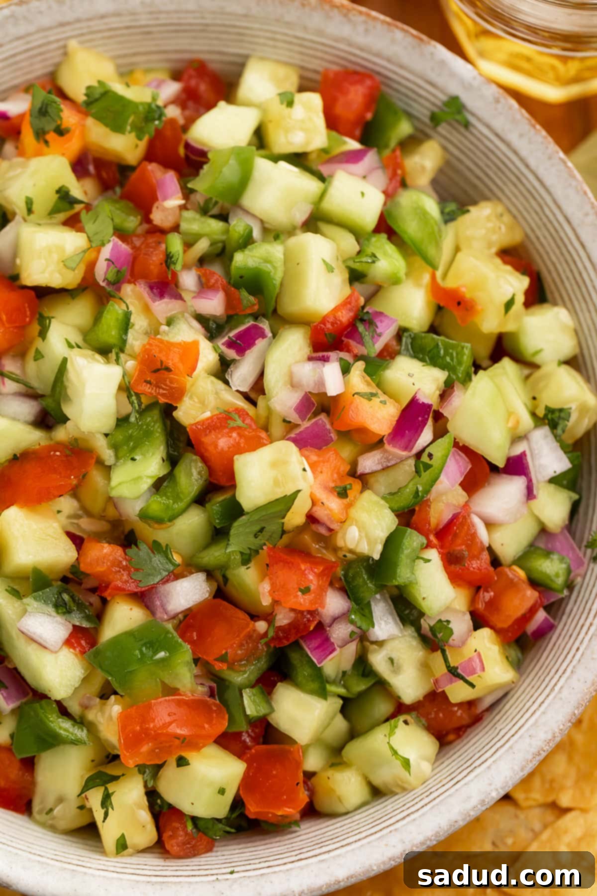 Refreshing Cucumber Salsa 2 Close-up overhead shot of cucumber salsa with tomato and onion in a large bowl, ready to serve.