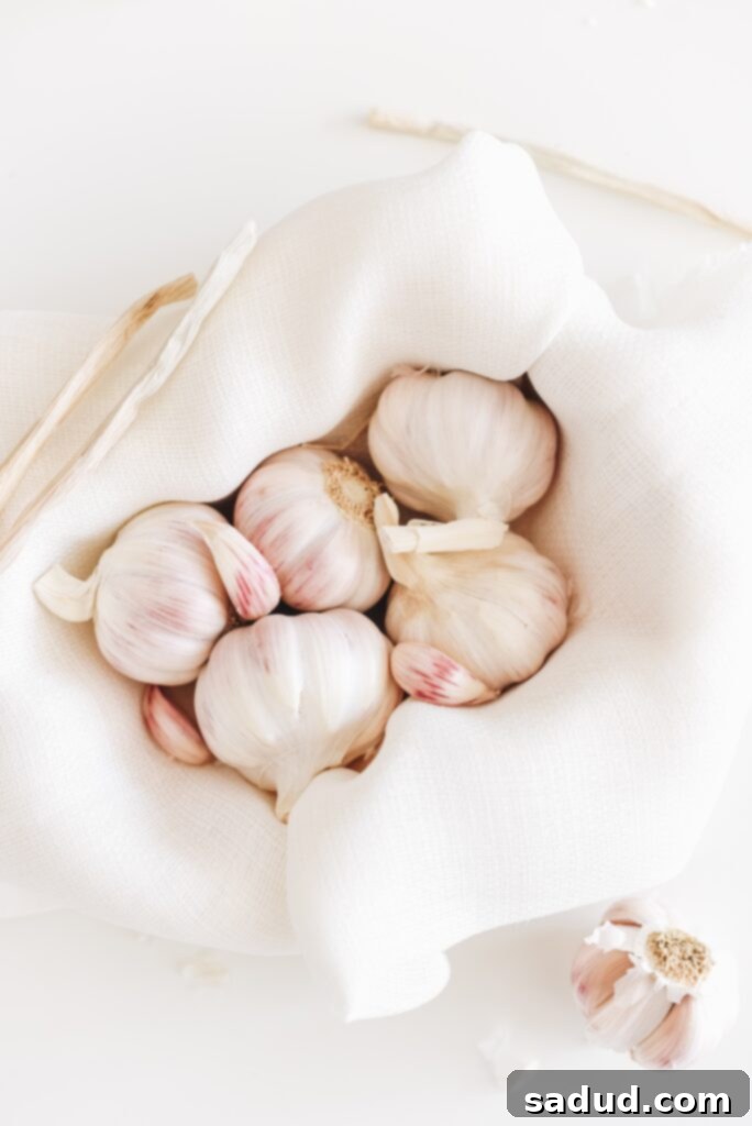 A basket of garlic, a prebiotic source.
