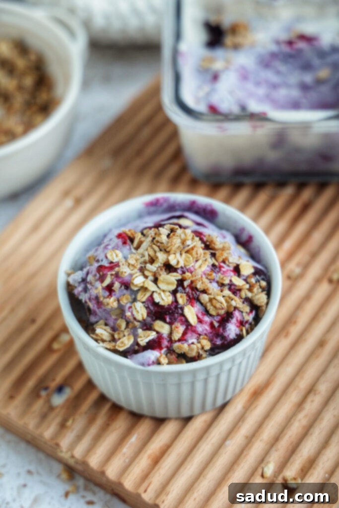 A beautiful bowl of homemade healthy blueberry crisp ice cream, topped with a rustic crumble and fresh blueberries.