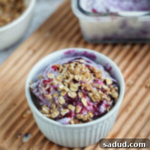 Healthy Blueberry Crisp Ice Cream with crisp topping