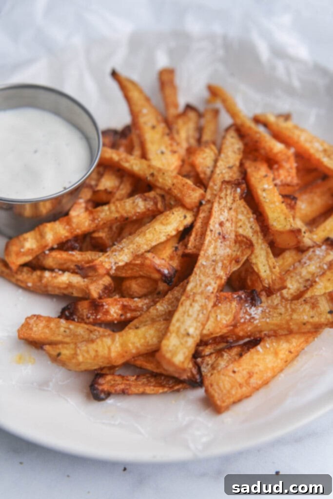 Fries on a plate with a side of ranch
